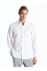 Men's Shirts