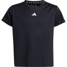 ADIDAS Train Essentials Regular Fit Logo short sleeve T-shirt