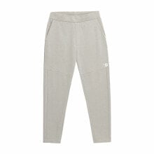 Adult Trousers 4F SPMD013 Men