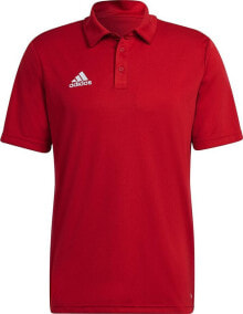 Adidas Koszulka adidas ENTRADA 22 Polo H57489 H57489 czerwony XXL