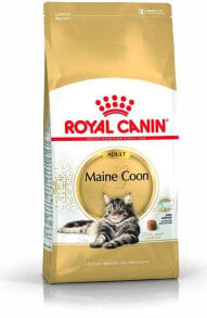 Royal Canin Maine Coon Adult karma sucha dla kotów dorosłych rasy maine coon 4 kg