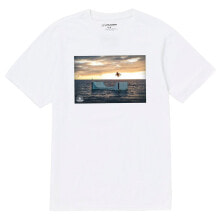 Купить мужские спортивные футболки и майки Volcom: VOLCOM TTT Poster short sleeve T-shirt