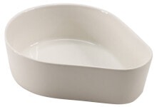 Dishes and salad bowls for serving