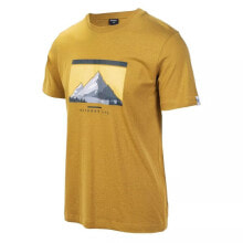 Men's Sports T-shirts