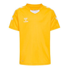 Men's sports T-shirts and T-shirts