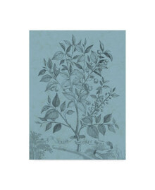 Trademark Global vision Studio Botanical on Teal V Canvas Art - 15