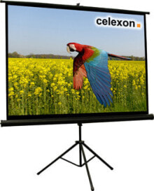 Celexon 1090019 проекционный экран 4:3