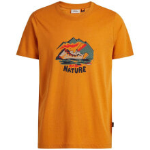 Men's sports T-shirts and T-shirts