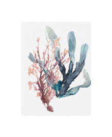 Trademark Global jennifer Goldberger Sweet Seaweed I Canvas Art - 36.5