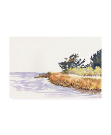 Trademark Global dianne Miller Solitary Coastline III Canvas Art - 15
