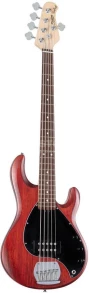 Sterling by Music Man StingRay RAY5 Walnut Satin