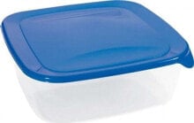 Containers and lunch boxes