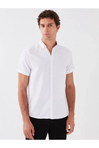 Men's Shirts