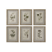 Painting Home ESPRIT Shabby Chic Botanical plants 30 x 2 x 40 cm (6 Units)