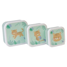 Containers and lunch boxes for school