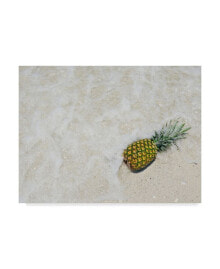 Trademark Global adam Mead South Florida Pineapple V Canvas Art - 37