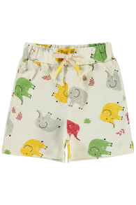 Children's shorts for boys