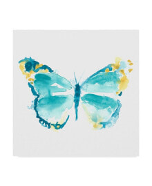 Trademark Global june Erica Vess Butterfly Traces IV Canvas Art - 27