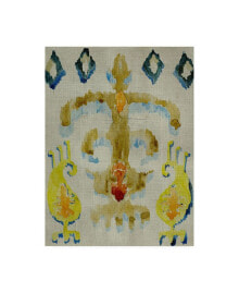 Trademark Global chariklia Zarris Bohemian Ikat III Canvas Art - 19.5