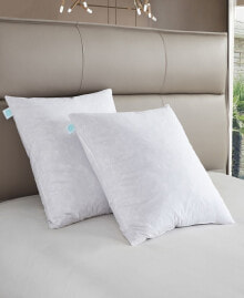 Martha Stewart feather Firm 2-Pack Pillow, European