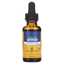 Ginkgo Biloba Herb Pharm