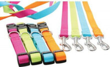 Dog Leashes