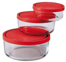 Containers and lunch boxes