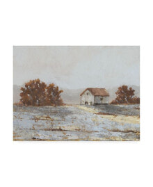 Trademark Global ethan Harper Snow Covered Hillside II Canvas Art - 20