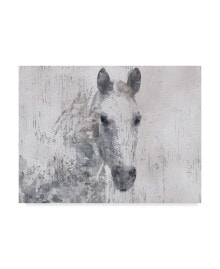 Trademark Global irena Orlov Dapple Horse I Canvas Art - 15