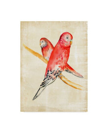 Trademark Global chariklia Zarris Fanciful Birds I Canvas Art - 15