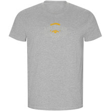 Men's sports T-shirts and T-shirts