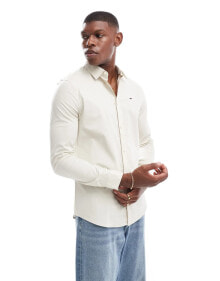 Men's Shirts