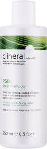 Shampoo für die Kopfhaut - Ahava Clineral PSO Scalp Shampoo