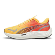 PUMA Velocity Nitro 3 Fade running shoes