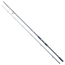 CINNETIC Explorer Black Sea Bass Spinning Rod