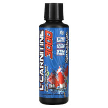 L-Carnitine 3000, Patriot Pop, 16 fl oz (473 ml)