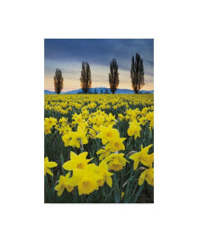 Trademark Global alan Majchrowicz Skagit Valley Daffodils I Canvas Art - 37