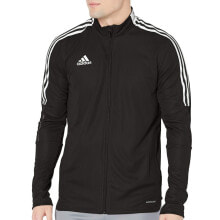 Men's Sports Jackets