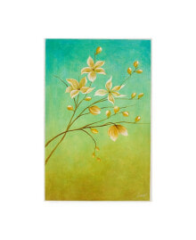 Trademark Global pablo Esteban White Flower Branch 2 Canvas Art - 27