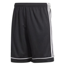 Мужские спортивные шорты Adidas Squadra 17 Shorts Junior BK4772