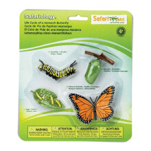 SAFARI LTD Life Cycle Of A Monarch Butterfly Figure