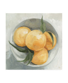 Trademark Global emma Scarvey Fruit Bowl I Canvas Art - 15