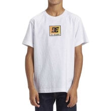 Men's sports T-shirts and T-shirts