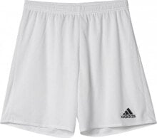 Men's Sports Shorts