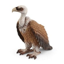 Animals, birds, fish and reptiles schleich Wild Life Vulture Toy Figure 3 to 8 Years Multi-colour 14847