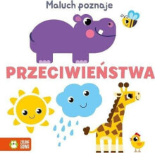 Zielona Sowa Maluch poznaje ... Przeciwieństwa 94087