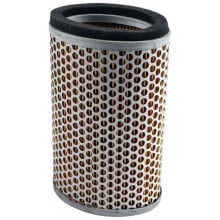 MIW Triumph 800/900 01-17 Air Filter