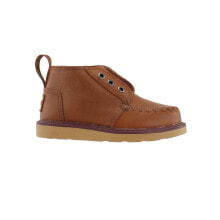 Купить детские товары TOMS: TOMS Chukka Kids Boys Brown Casual Boots 10009216