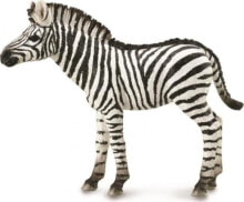 Figurka Collecta ZEBRA FOAL