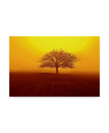 Trademark Global philippe Sainte-Laudy so Lonely Canvas Art - 20